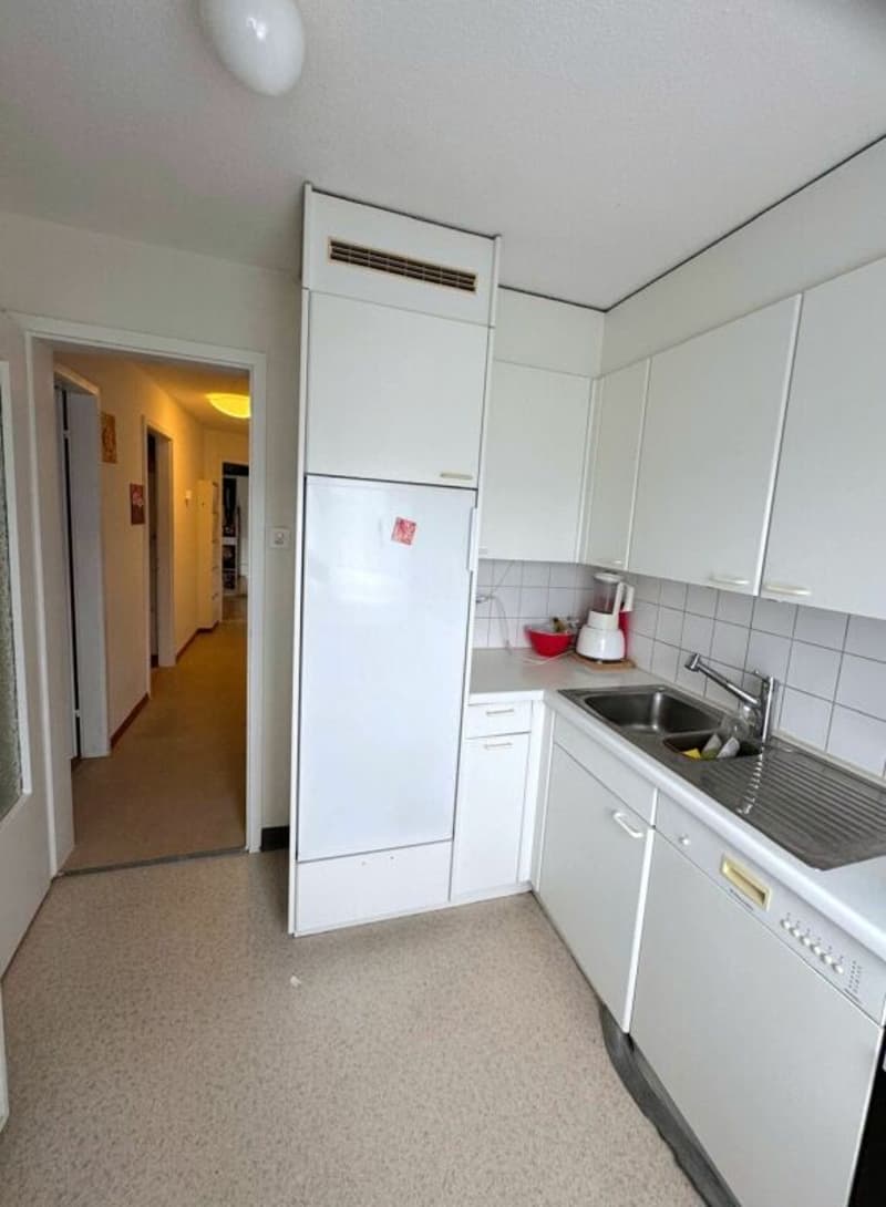 Bright 3.0 room apartment for rent (5)