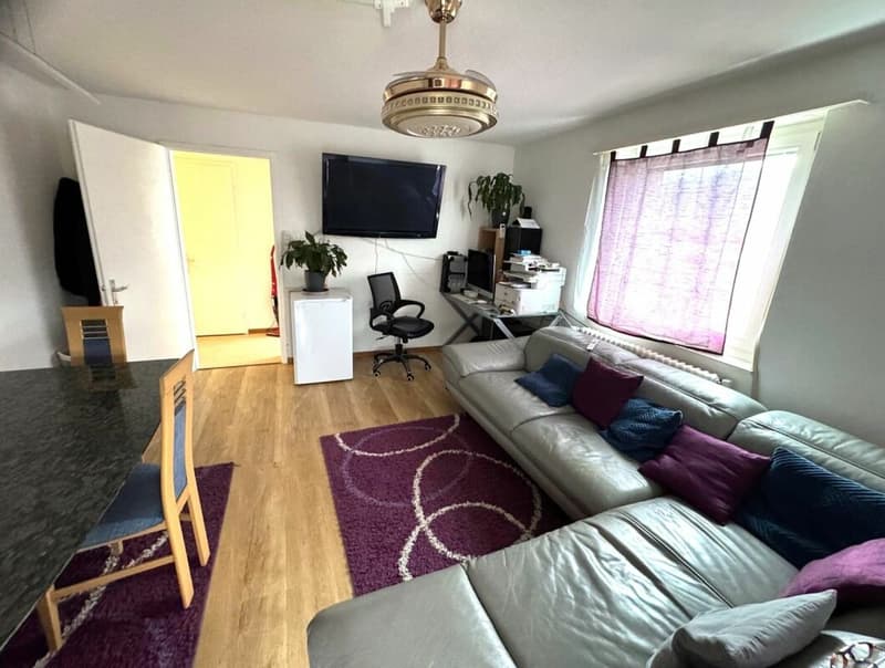 Bright 3.0 room apartment for rent (1)