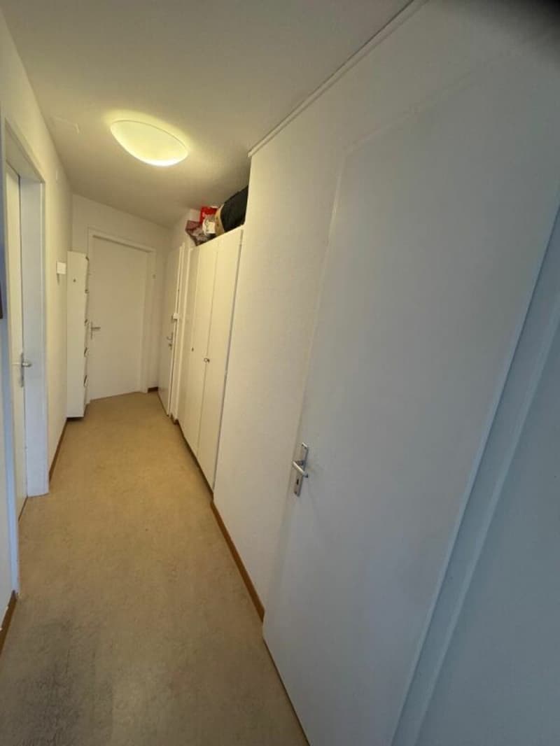 Bright 3.0 room apartment for rent (9)