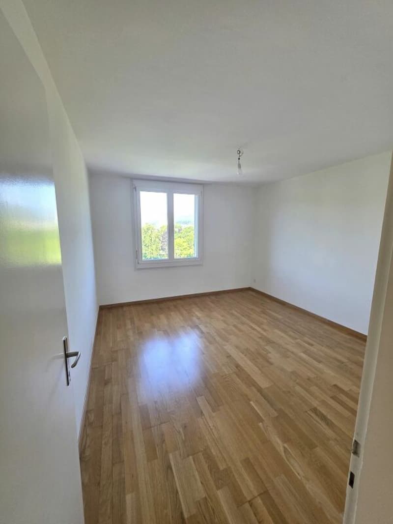 Bright and Spacious 5.5-Room Apartment (4)