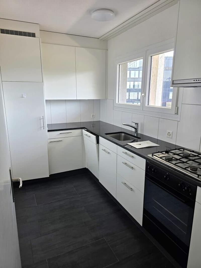 Bright and Spacious 5.5-Room Apartment (8)