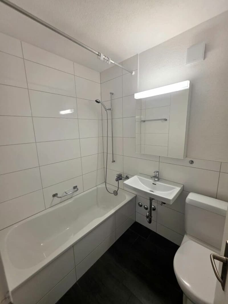 Bright and Spacious 5.5-Room Apartment (9)