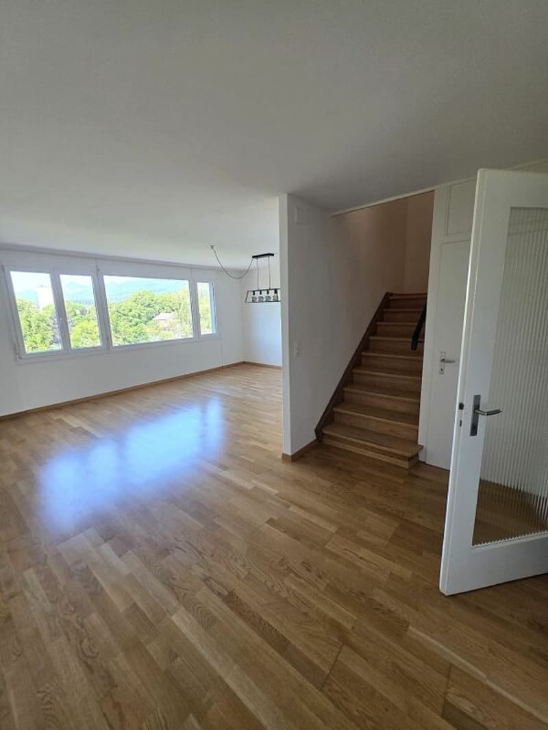 Bright and Spacious 5.5-Room Apartment (3)