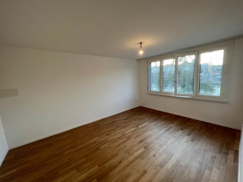 Appartamento luminoso e spazioso di 4,5 locali (4)