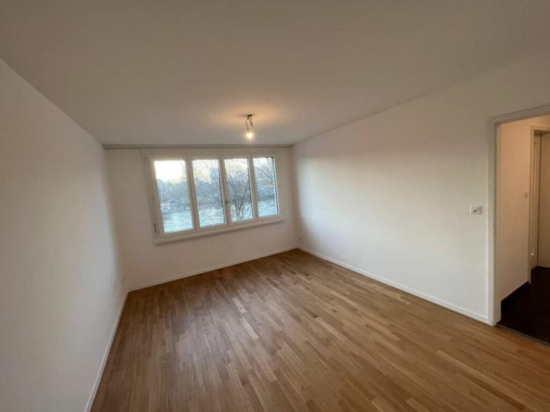 Appartamento luminoso e spazioso di 4,5 locali (3)