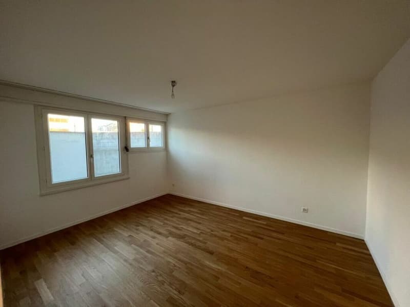 Appartamento luminoso e spazioso di 4,5 locali (3)
