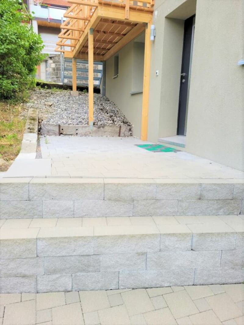 Ampio appartamento 2.5 locali con terrazza (7)