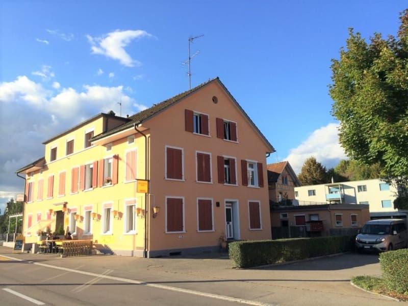 Ammirevole appartamento mansardato 2.5 locali in affitto (9)