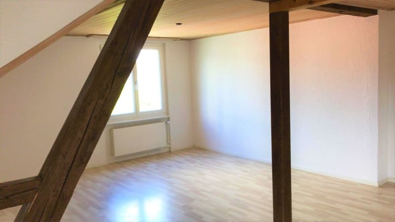 Ammirevole appartamento mansardato 2.5 locali in affitto (2)