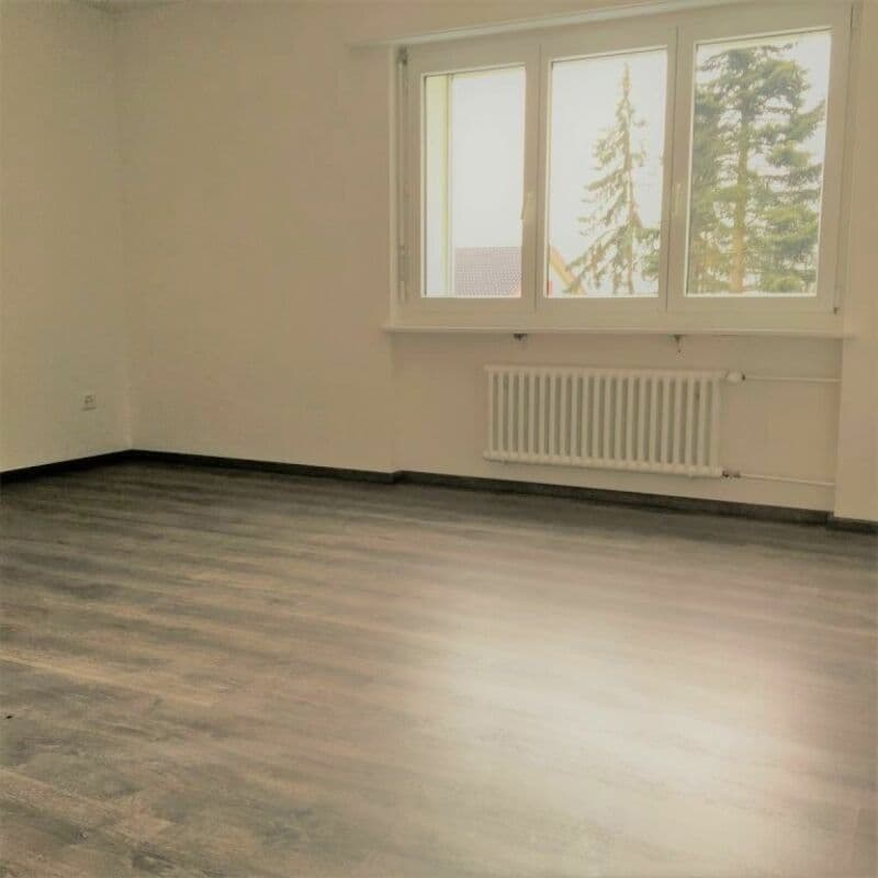 Ampio e soleggiato appartamento di 4 locali con ampio balcone (6)