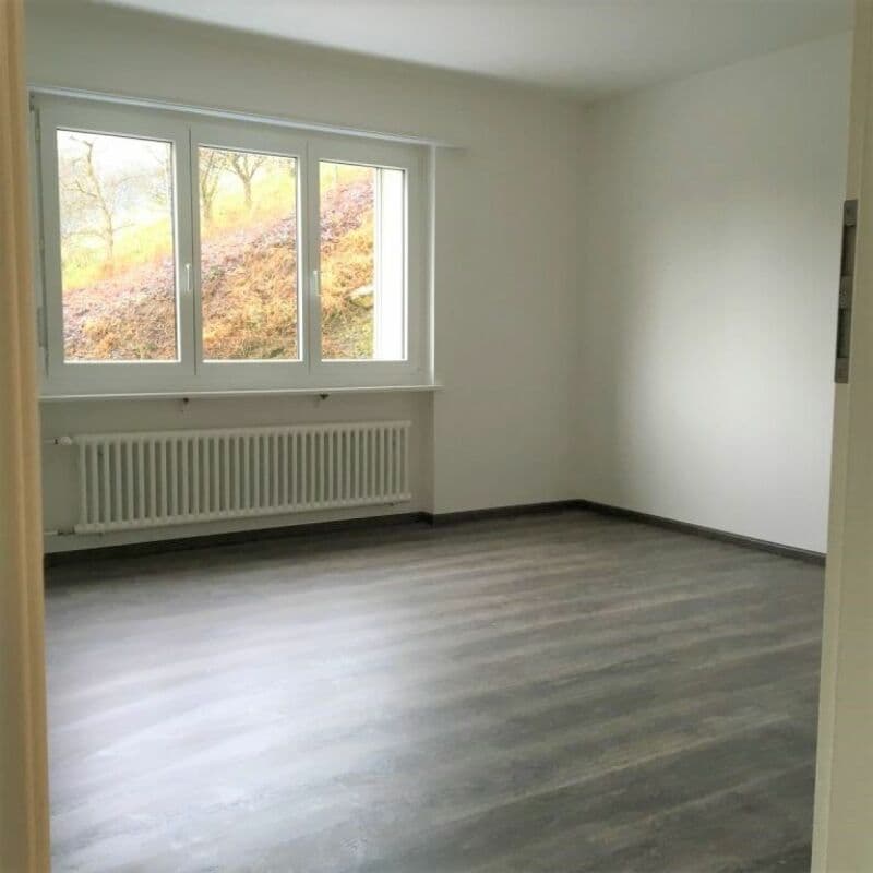 Ampio e soleggiato appartamento di 4 locali con ampio balcone (5)