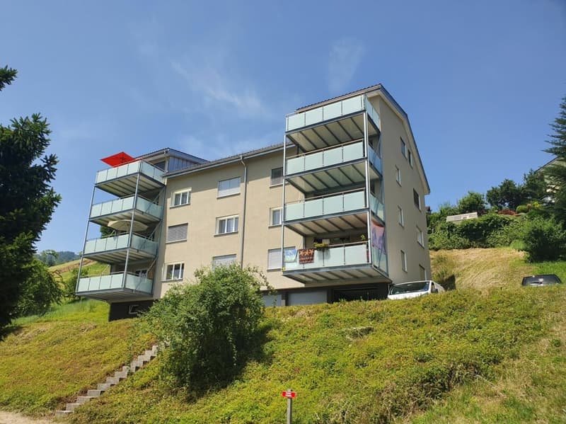 Ampio e soleggiato appartamento di 4 locali con ampio balcone (8)