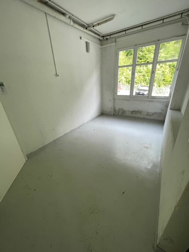Office, hobby room. Storage with WC (3)