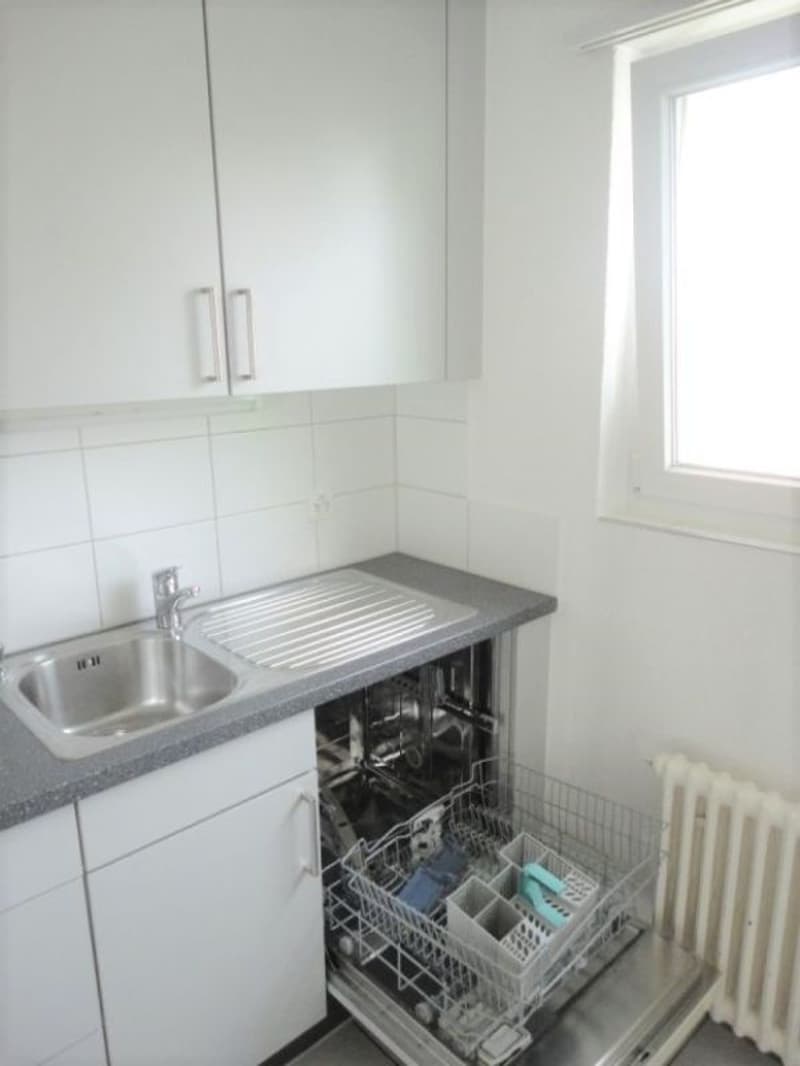 4-room apartment, with large balcony (7)