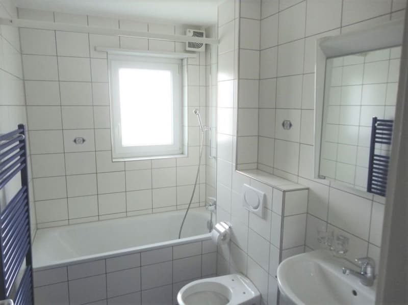 4-room apartment, with large balcony (4)