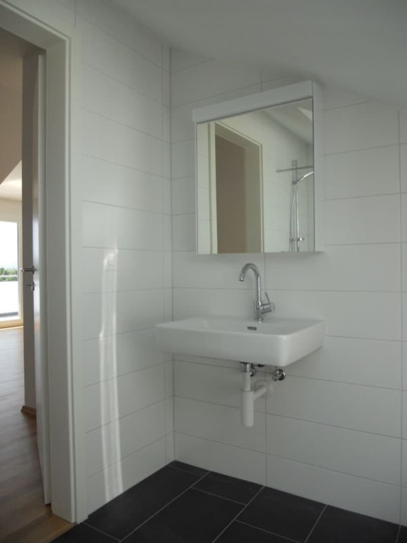 Attractive 2.5-room attic apartment with large balcony (8)