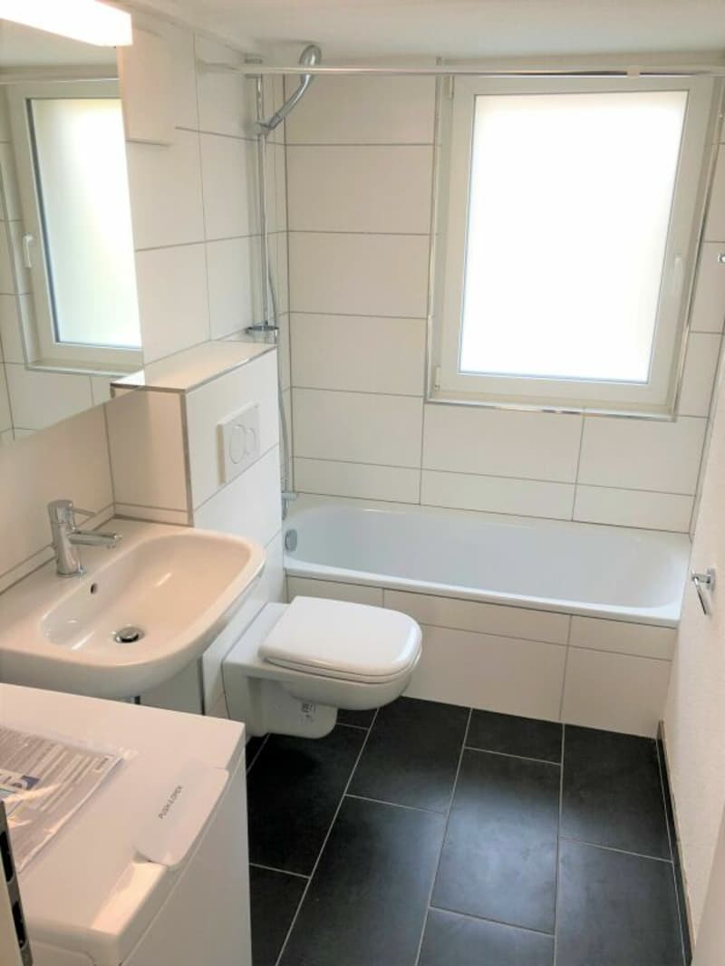 Cozy and spacious 2.5-room apartment (6)