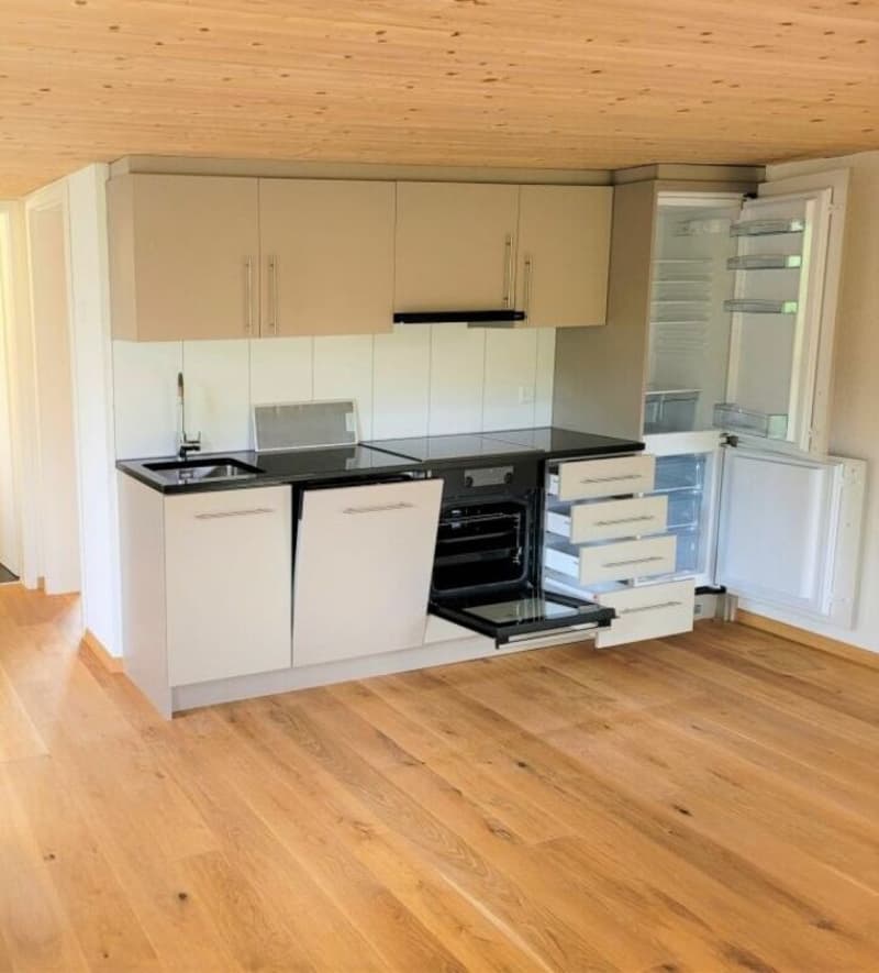 Cozy and spacious 2.5-room apartment (3)