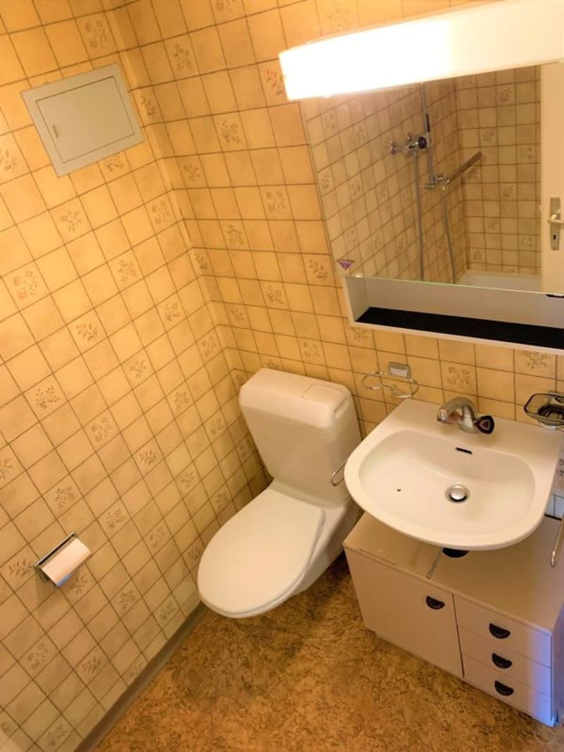 Chambre avec salle de bain à louer (4)