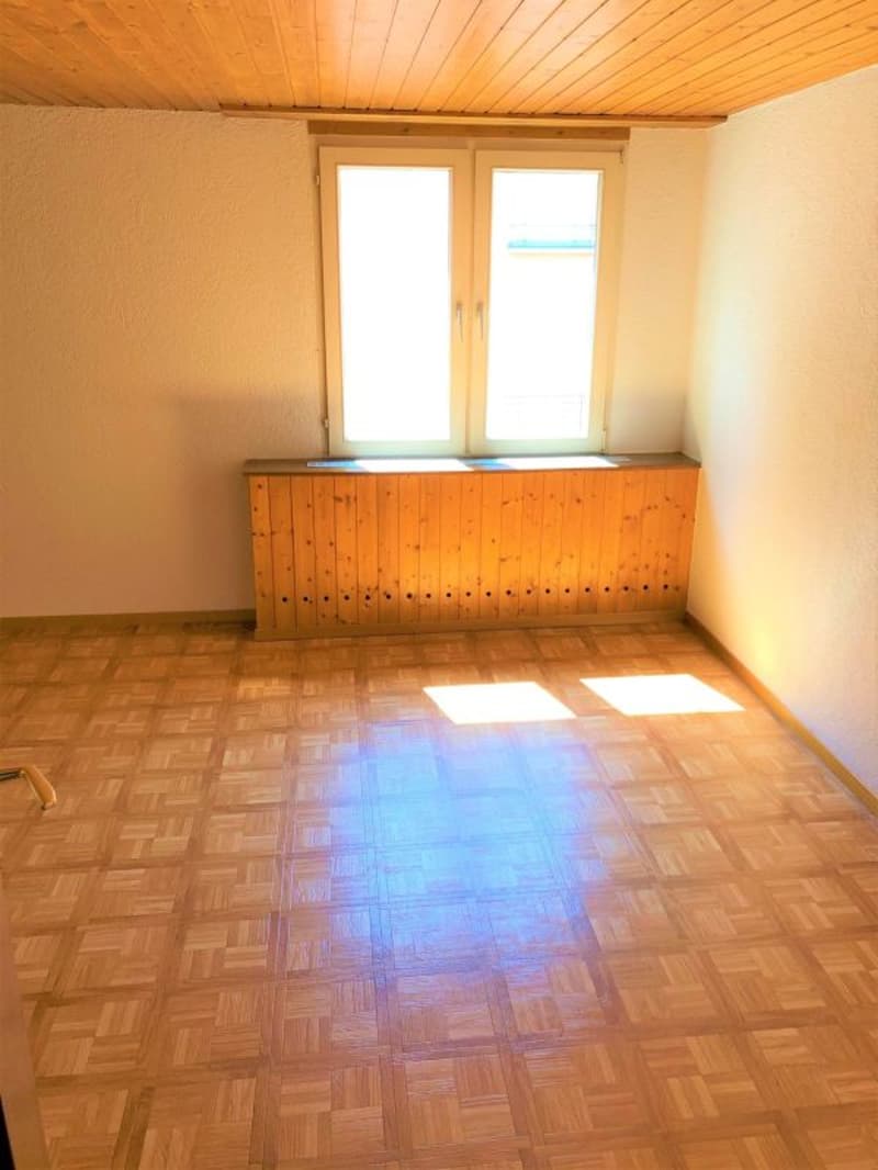 Spacious 3.5 room attic apartment (3)