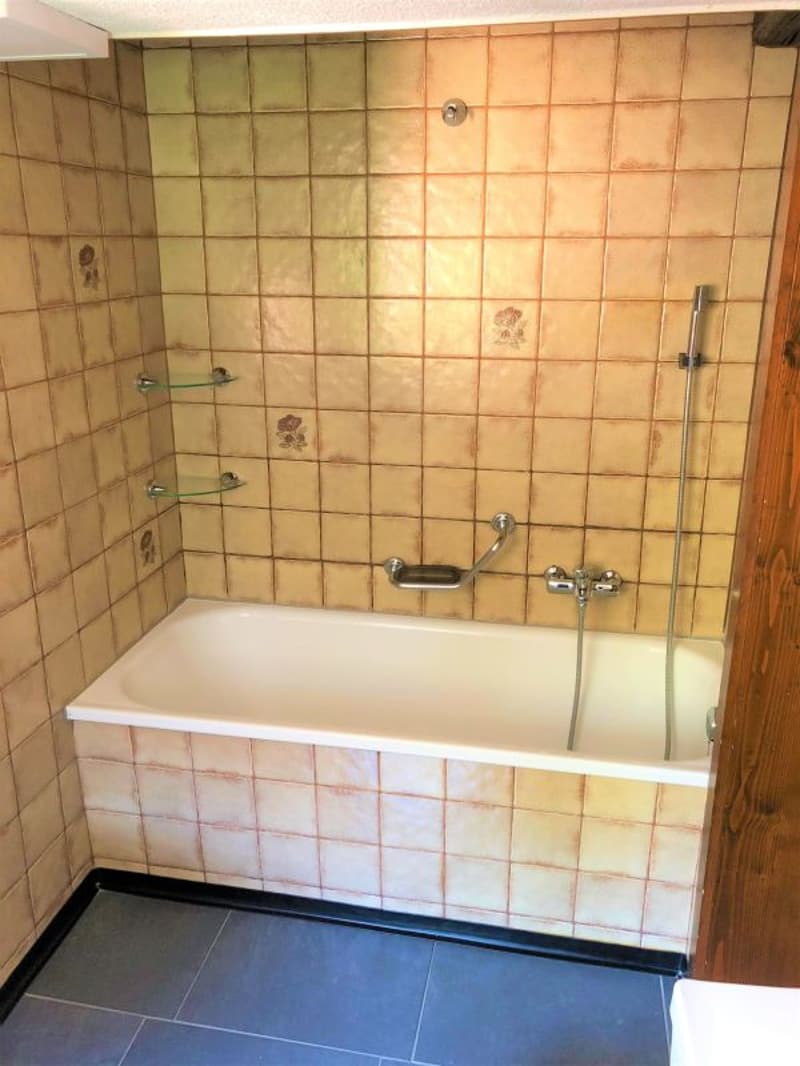 Spacious 3.5 room attic apartment (8)