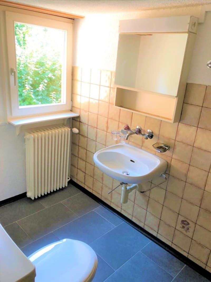Spacious 3.5 room attic apartment (7)
