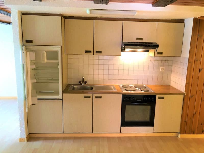 Spacious 3.5 room attic apartment (4)