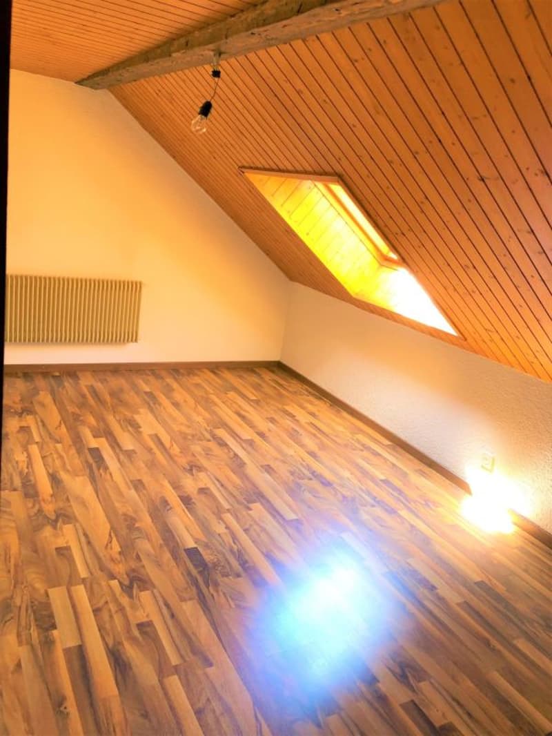 Spacious 3.5 room attic apartment (6)