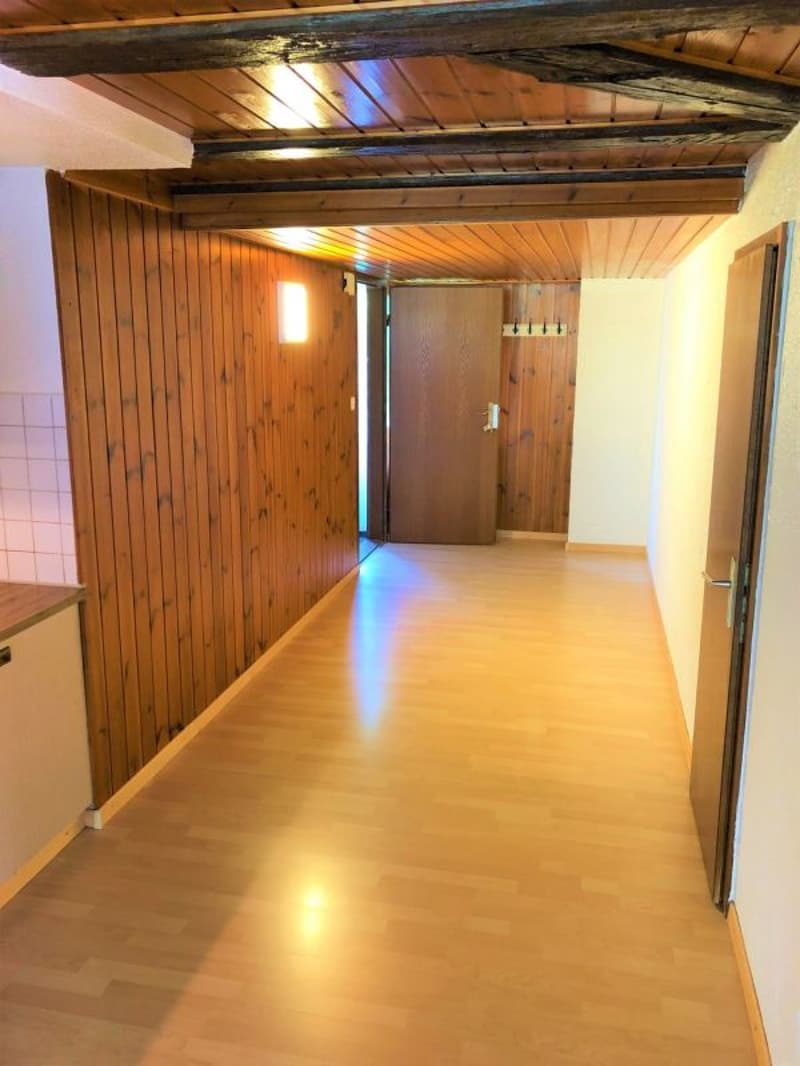 Spacious 3.5 room attic apartment (2)