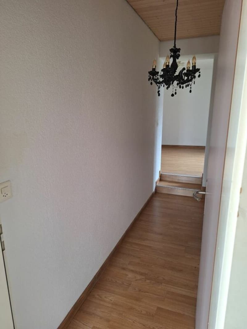 Helle grosszügige 3.5 Zi Wohnung (8)