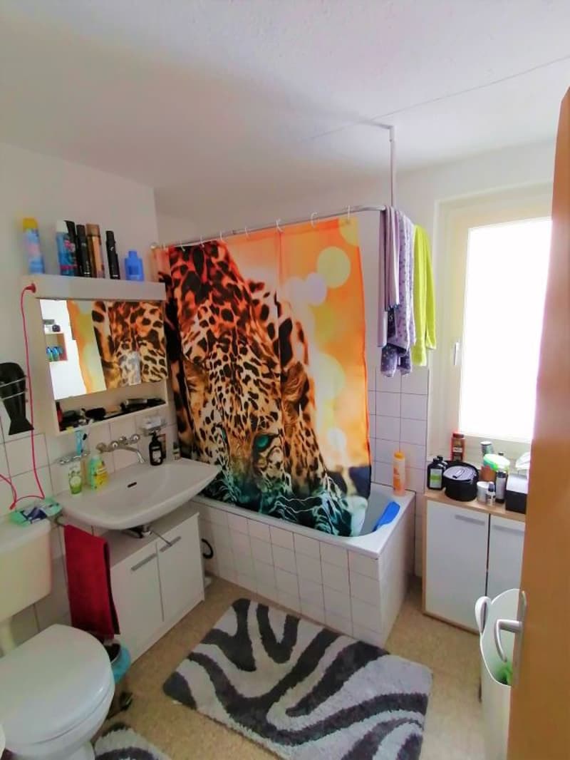 Beautiful 3.5 room apartment for rent (6)