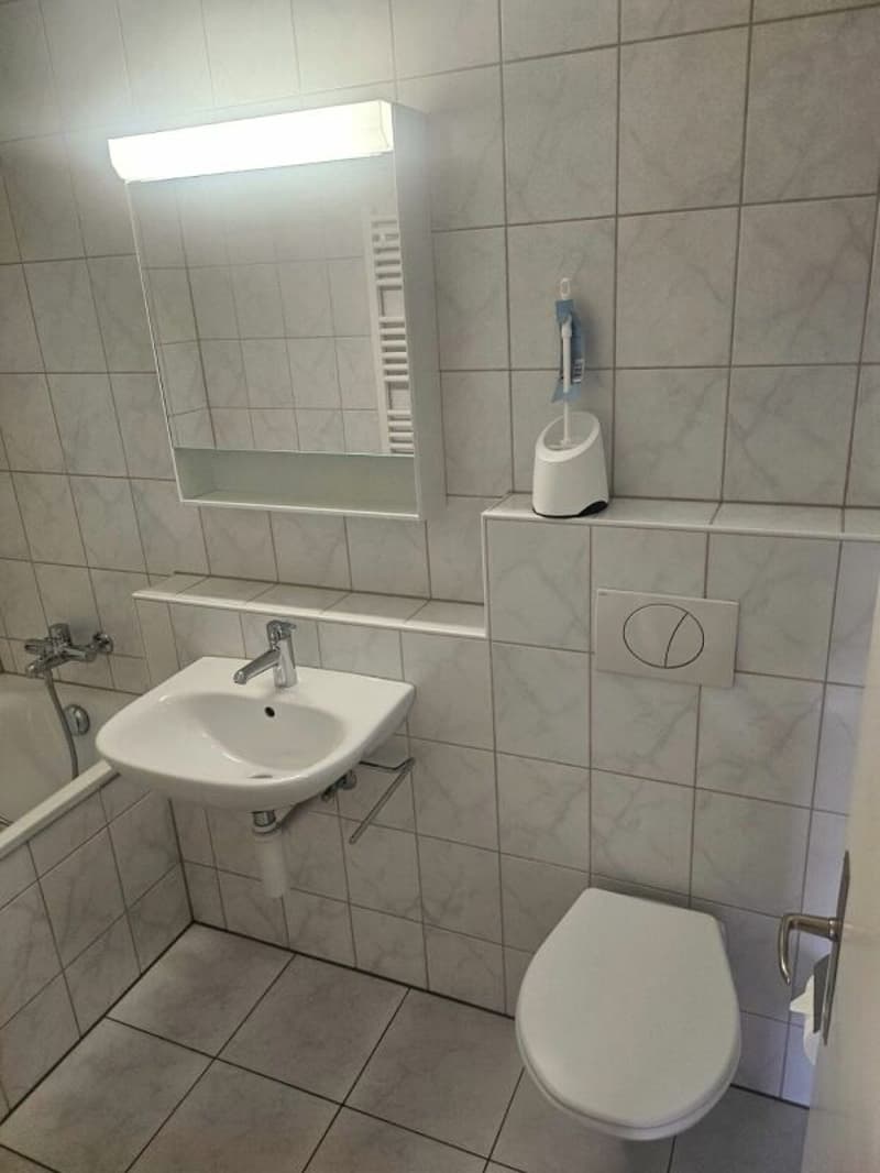 Helle 2.5 Zi. Wohnung zu vermieten (6)