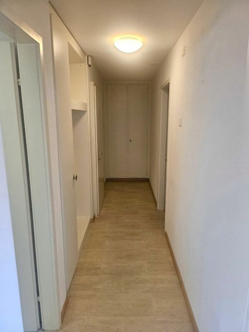 Helle 2.5 Zi. Wohnung zu vermieten (2)