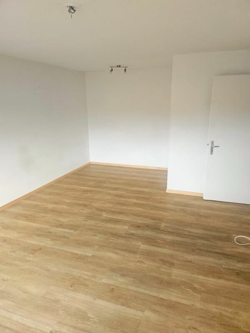 Helle 2.5 Zi. Wohnung zu vermieten (4)