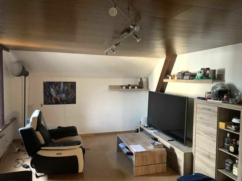 3.5 Zimmer Wohnung (3)