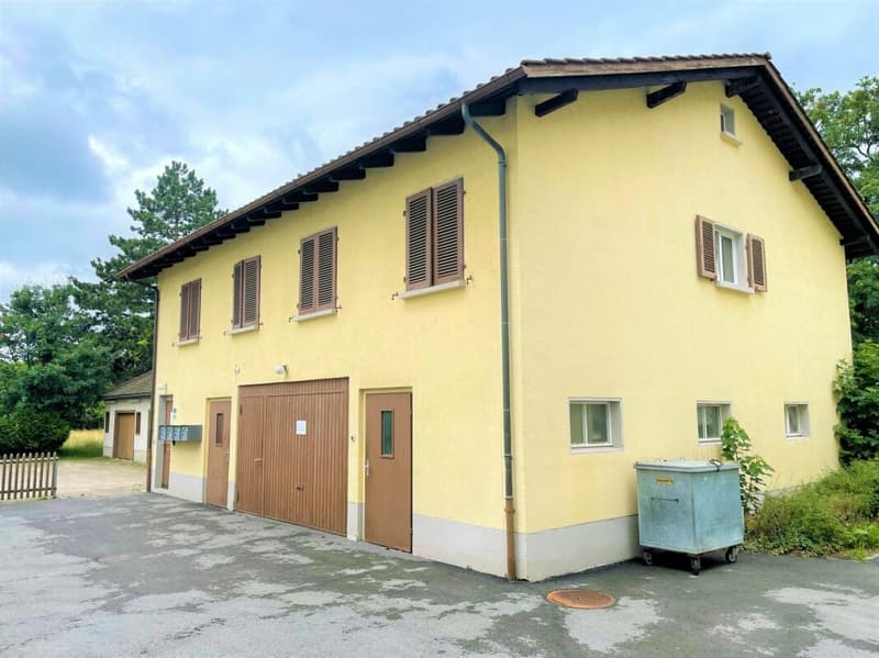 Zentrales 1.5Zi-Studio mit Küche und Bad (5)
