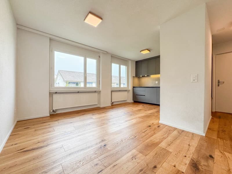 4.5-Zimmer-Wohnung 2. OG rechts (3)