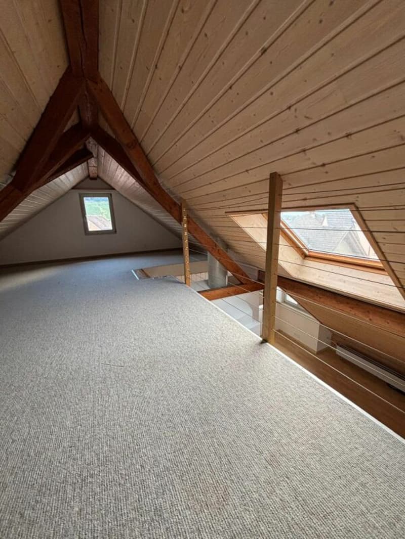 Grosse 4.0-Zimmer Wohnung (3)