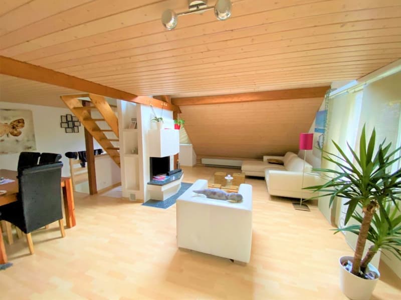 Grosse 4.0-Zimmer Wohnung (1)