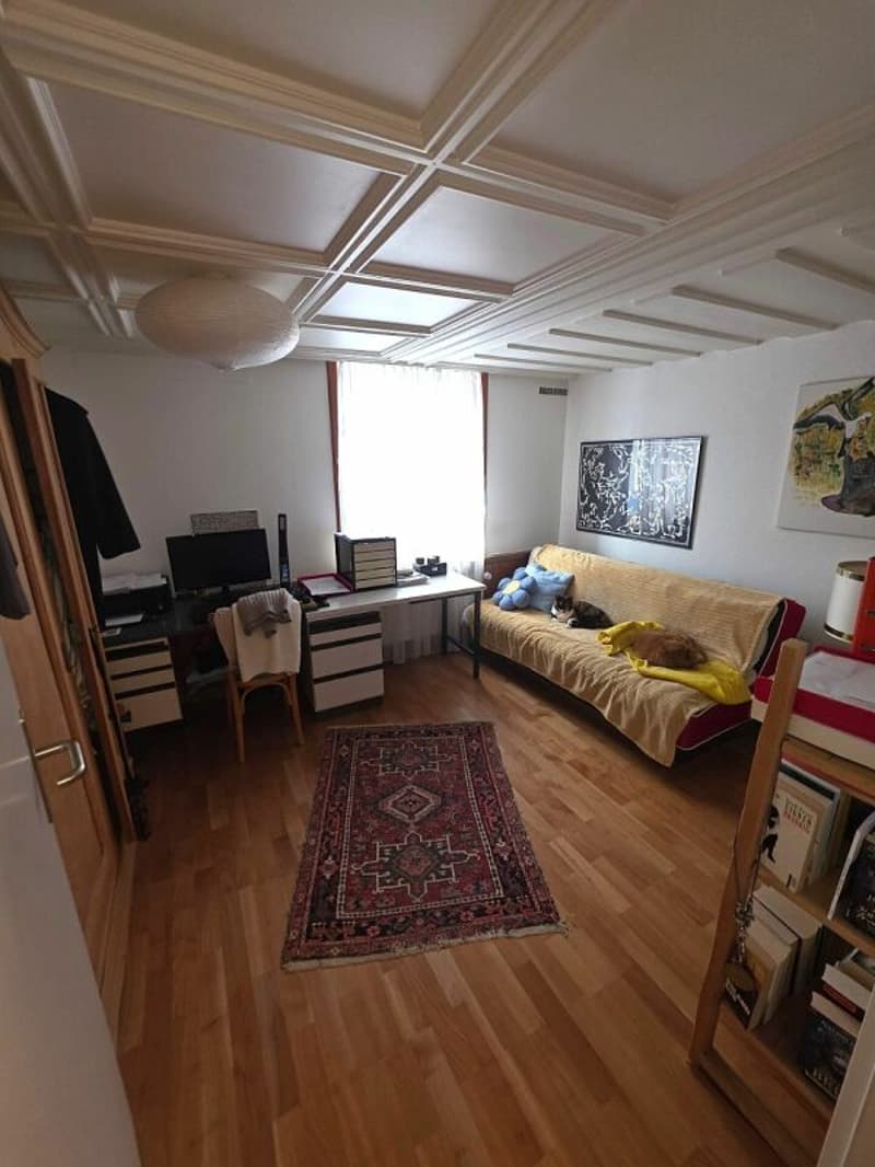 Grosszügige 4.5 Zimmer Wohnung (5)