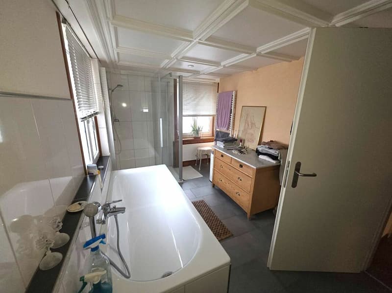 Grosszügige 4.5 Zimmer Wohnung (8)