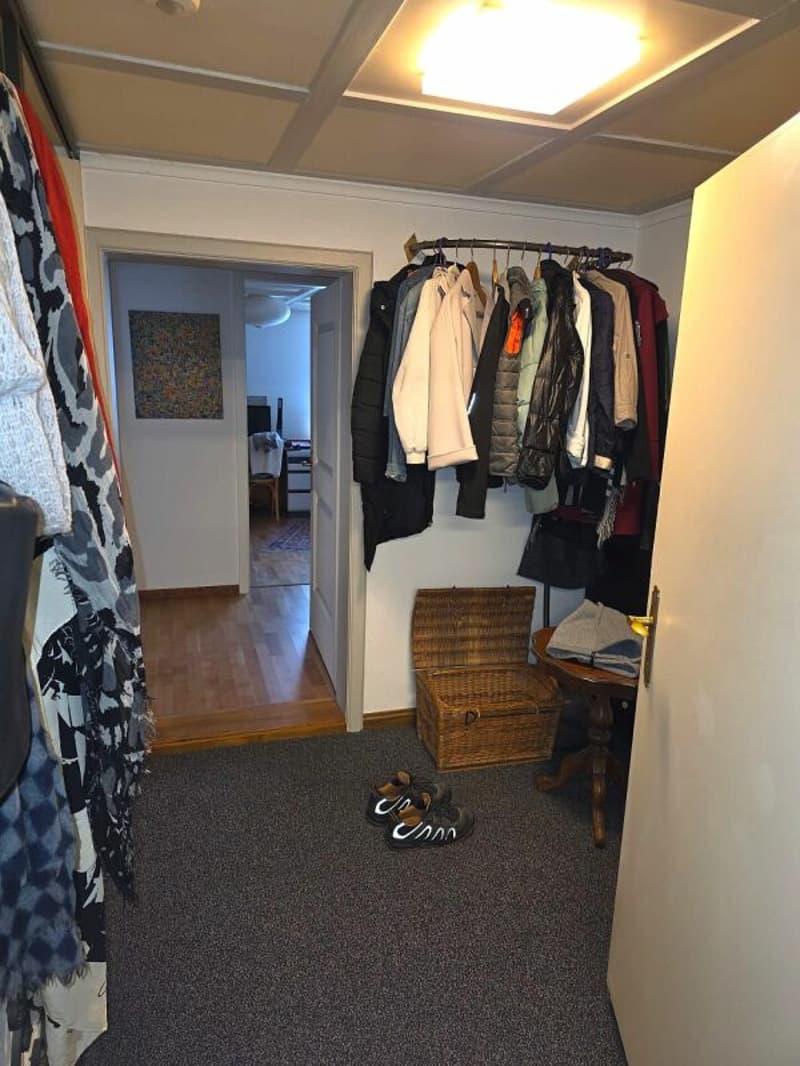 Grosszügige 4.5 Zimmer Wohnung (10)