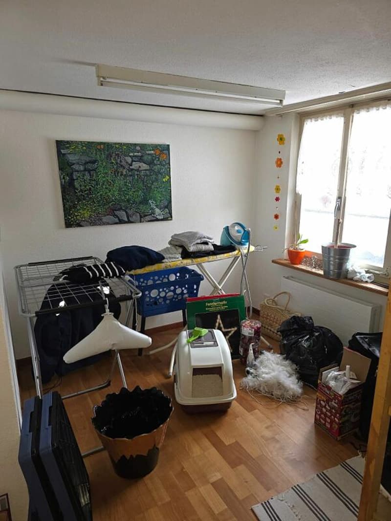Grosszügige 4.5 Zimmer Wohnung (7)