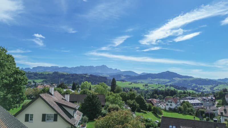 Täglich grüsst der Säntis - grosszügige Dachwohnung mit herrlichem Weitblick (11)