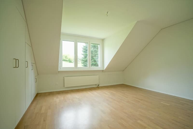Täglich grüsst der Säntis - grosszügige Dachwohnung mit herrlichem Weitblick (10)