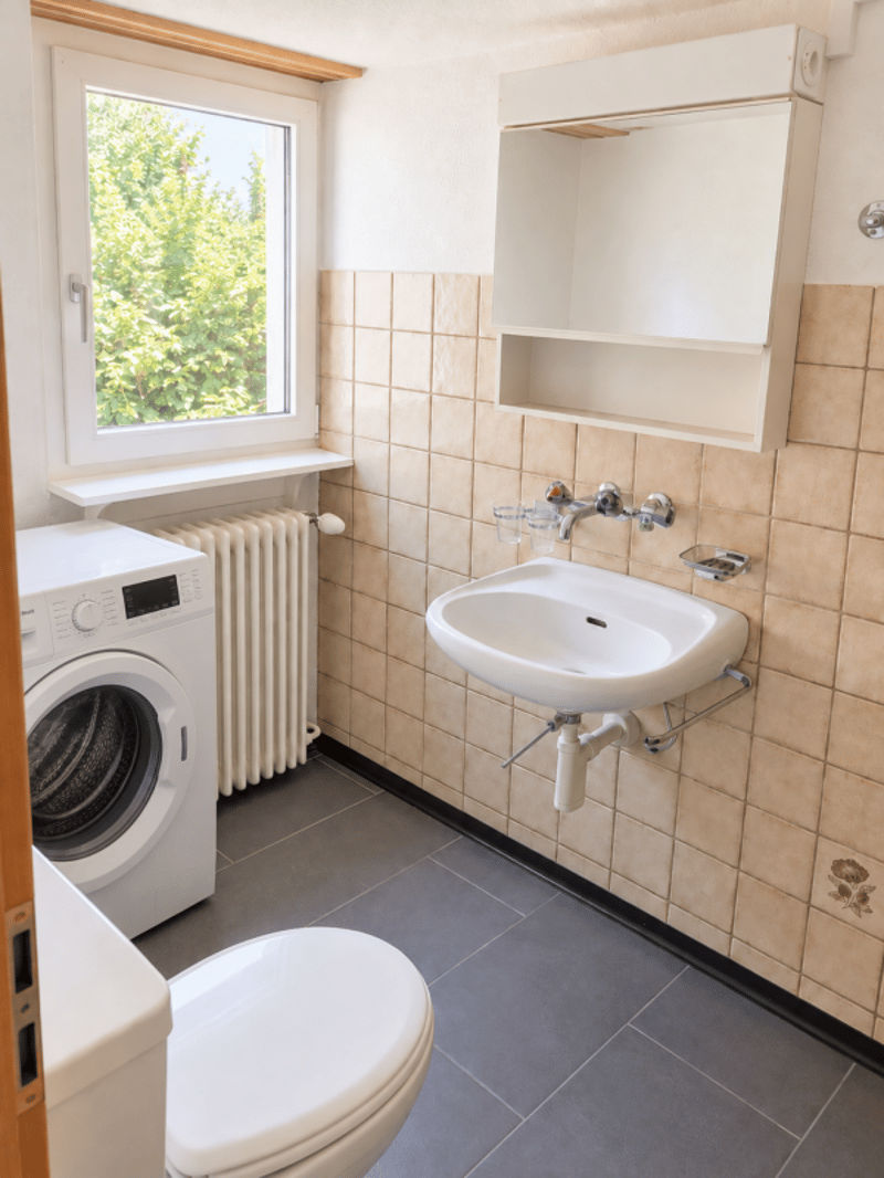 Grosszügige 3,5 Zimmer-Dachwohnung (8)