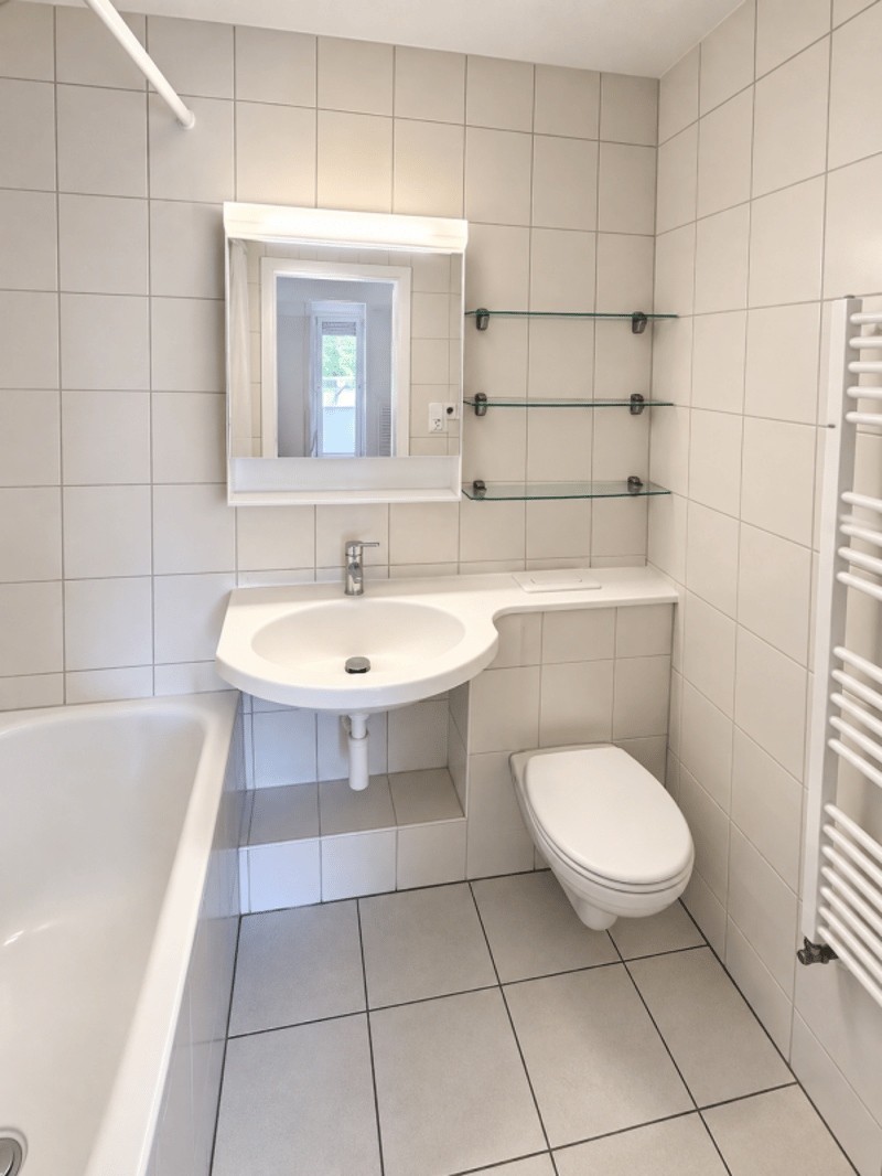 Helle 3.0 Zi-Wohnung zu vermieten (6)
