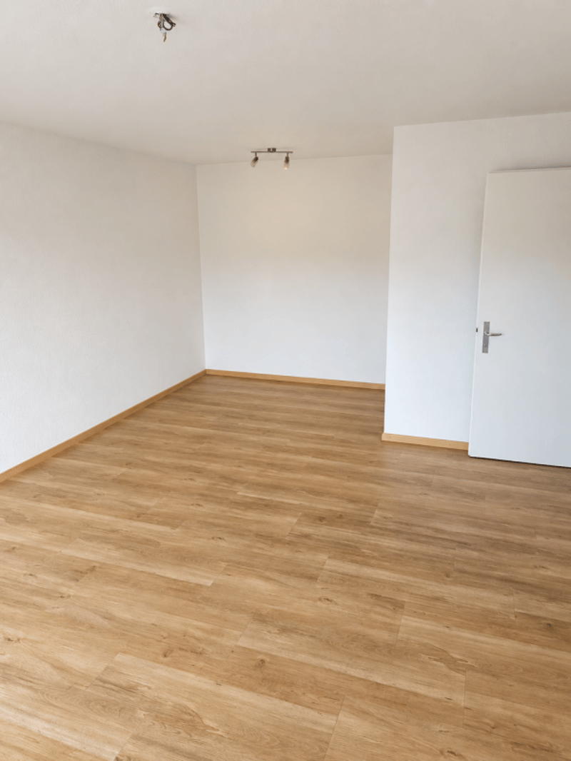 Helle 2.5 Zi. Wohnung zu vermieten (2)