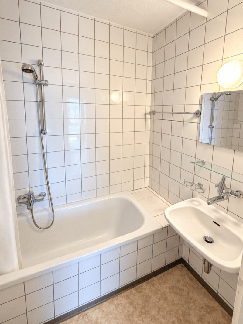 Helle 3.0 Zi-Wohnung zu vermieten (5)