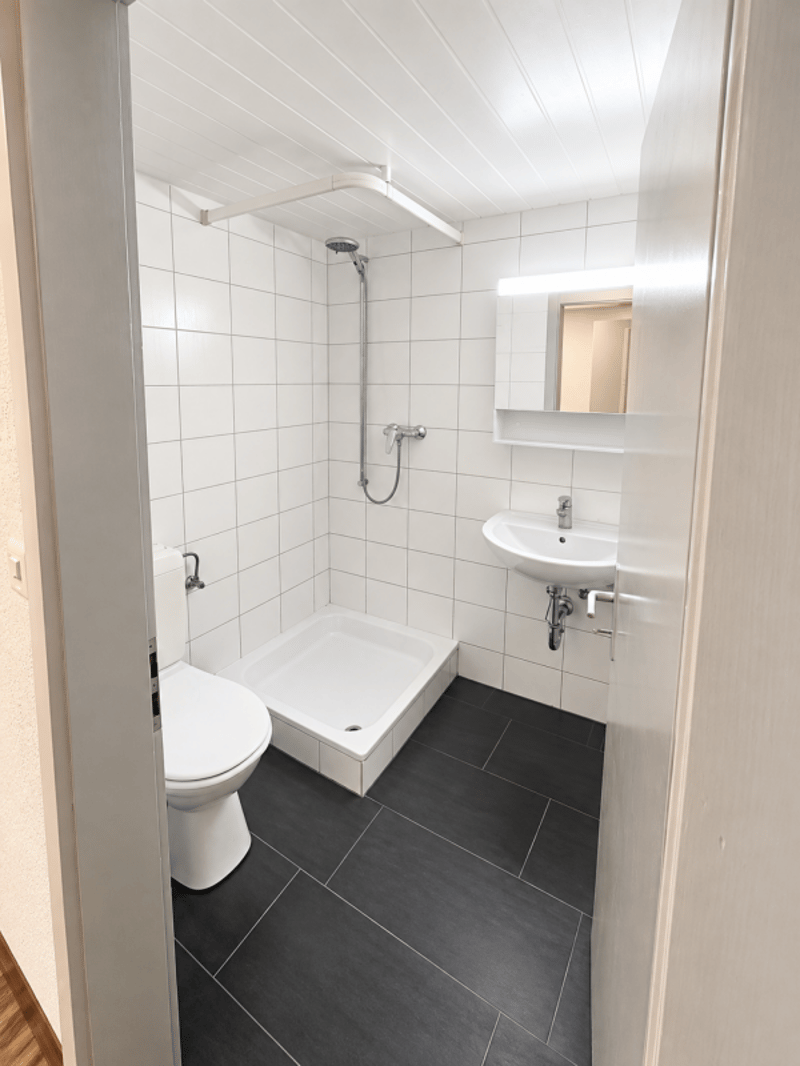 Heimelige 4,0-Zi-Wohnung zu vermieten (7)
